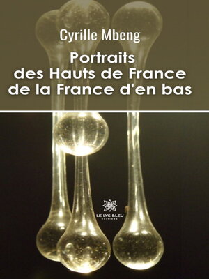 cover image of Portraits des Hauts de France de la France d'en bas